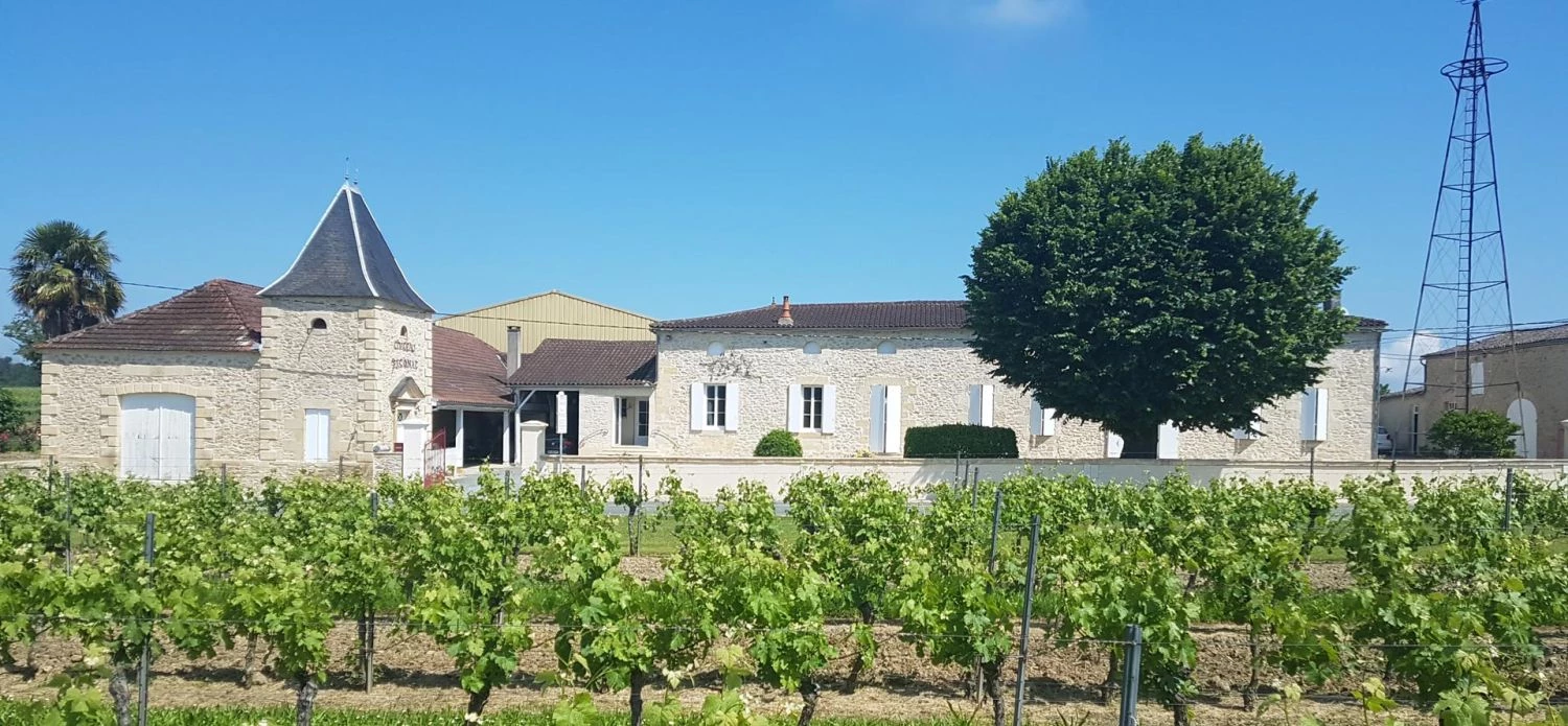Vignobles Château Piconat