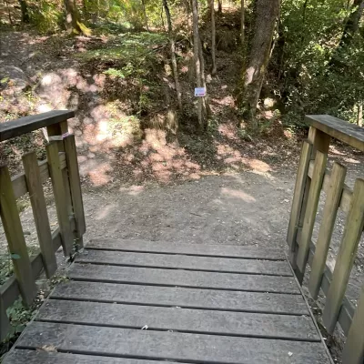 1000064214.jpg