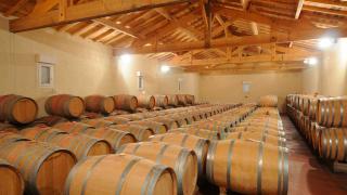 Une salle à la charpente apparente remplie de tonneaux de vin.