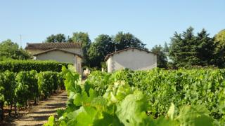 Château Melin