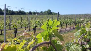 
<span>Château La Forêt</span>
